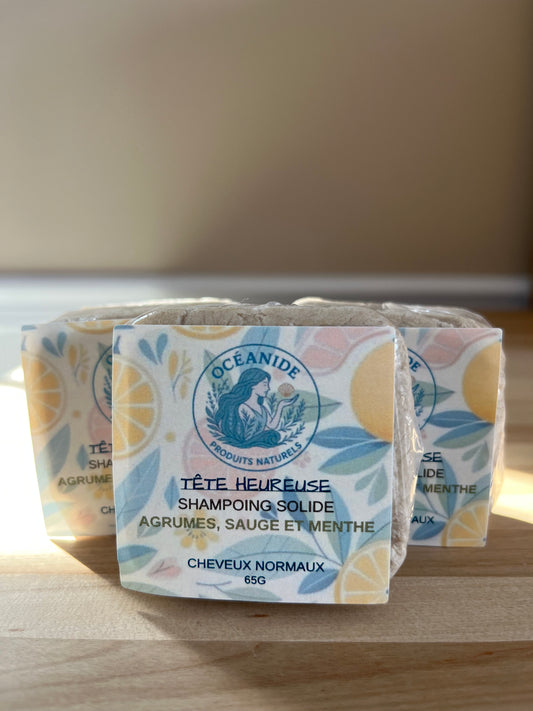 Shampoing Solide cheveux normaux